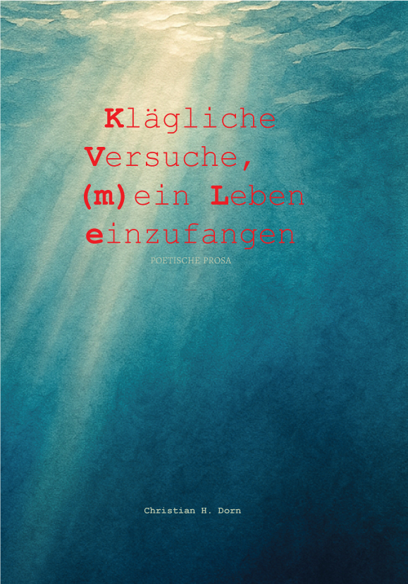 Klägliche Versuche, (m)ein Leben einzufangen book cover.